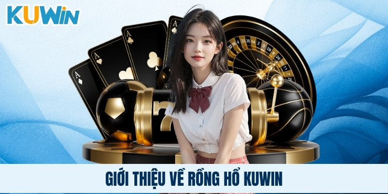 Giới thiệu về rồng hổ Kuwin