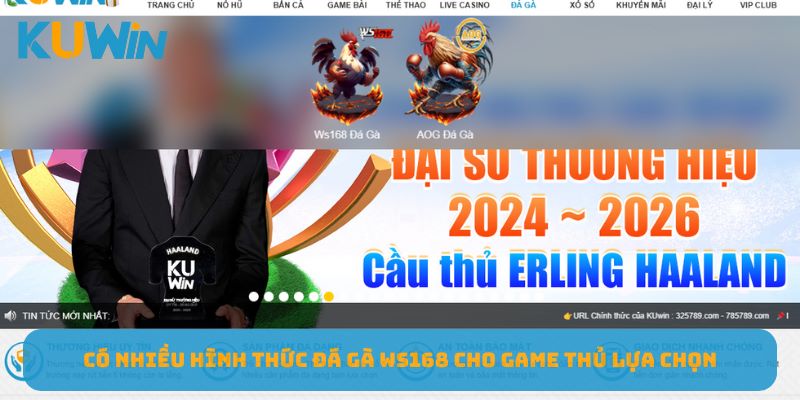 Có nhiều hình thức đá gà WS168 cho game thủ lựa chọn