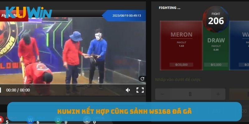 KUWIN kết hợp cùng sảnh WS168 đá gà